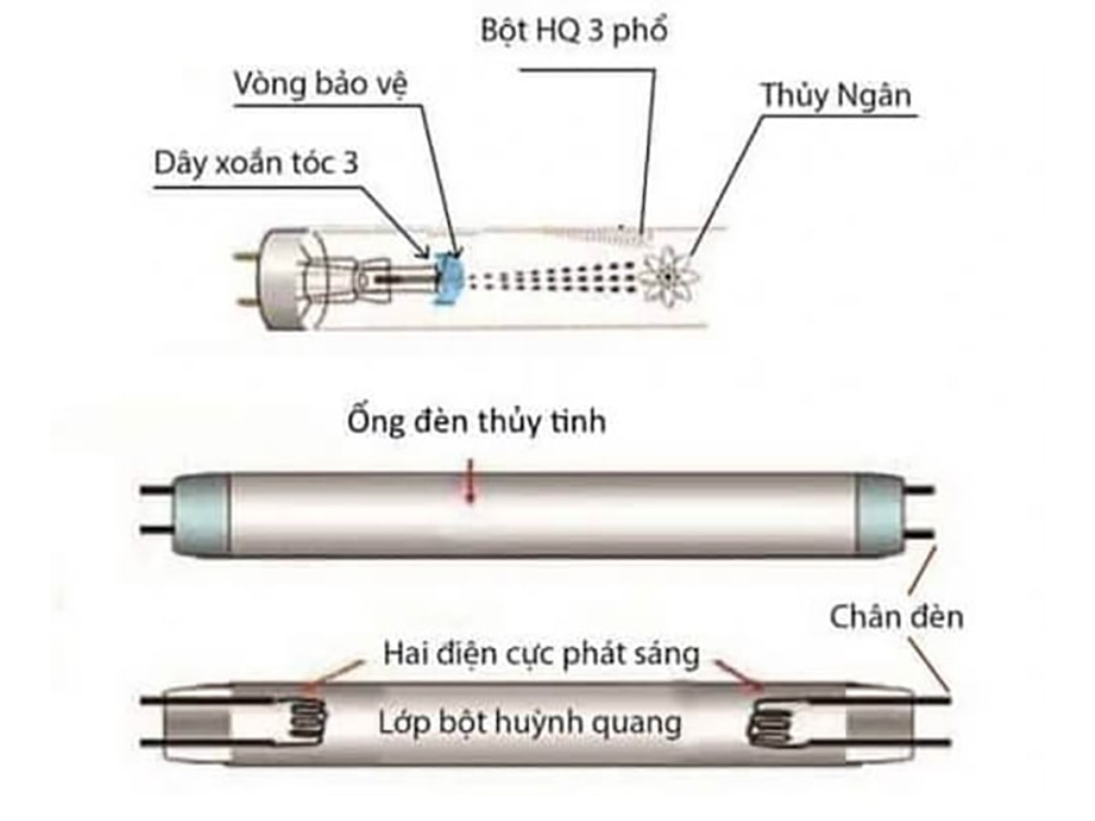 Cấu tạo đèn huỳnh quang